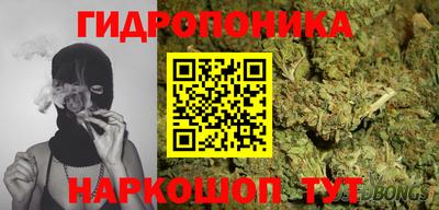 круглые Кингисепп