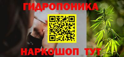круглые Кингисепп