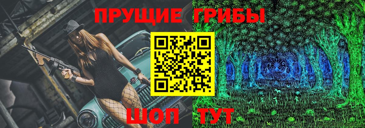 Галлюциногенные грибы Magic Shrooms  Вход с VPN  Кувандык  Псилоцибиновые грибы мицелий 