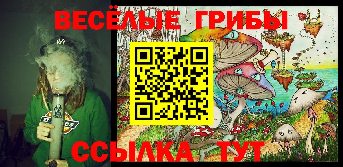 Галлюциногенные грибы Magic Shrooms Кувандык